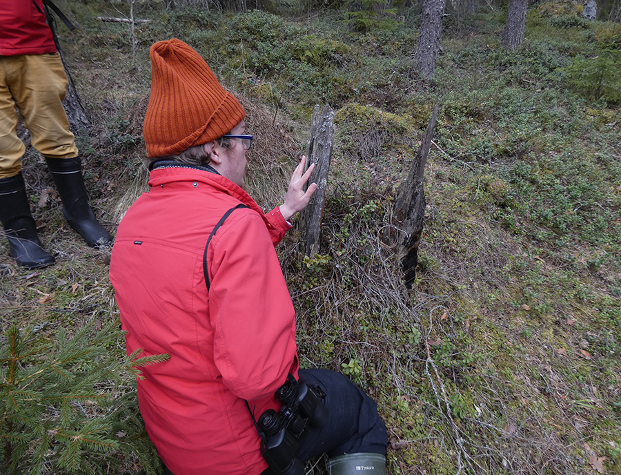 Morgenvogel, Martti Rajamäki, Lauri Isola, Vuorilahti